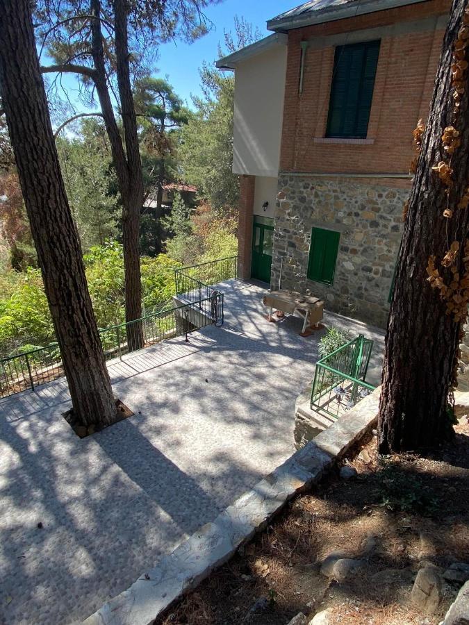 Theplatres.nest Πλάτρες