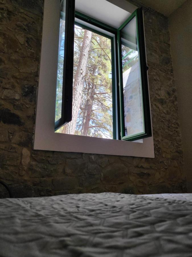 Theplatres.nest