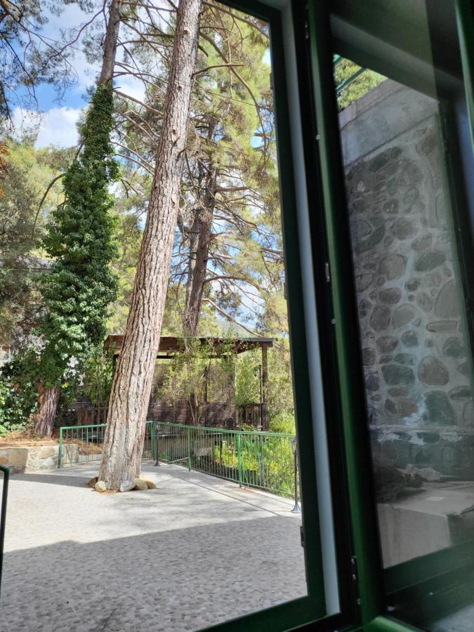 Theplatres.nest * Πλάτρες