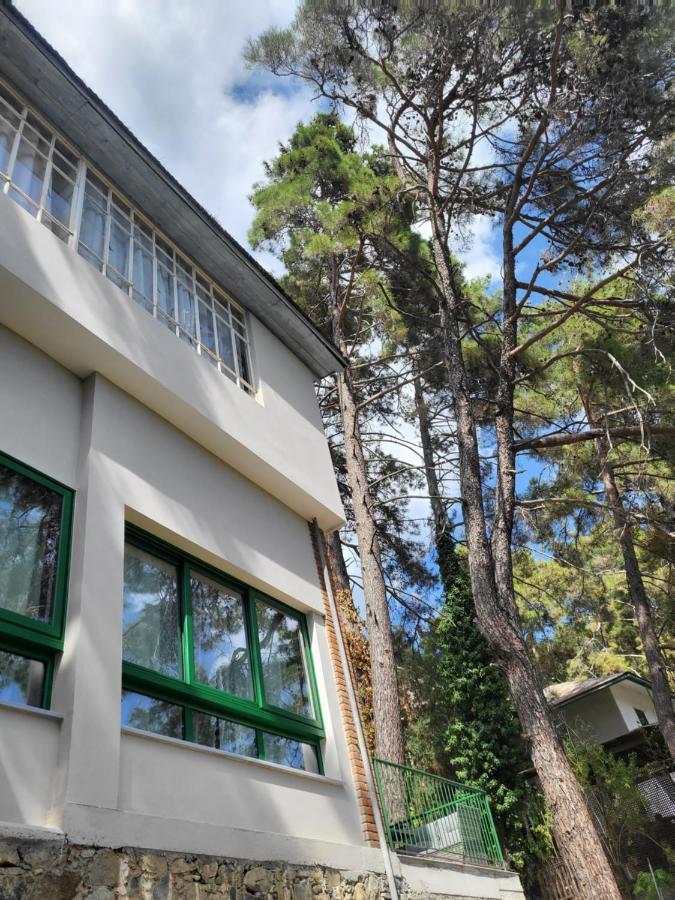 Theplatres.nest Πλάτρες