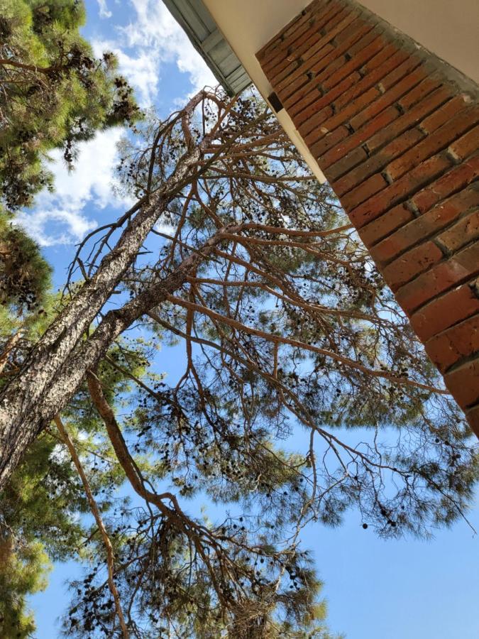 Σπίτι διακοπών Theplatres.nest *